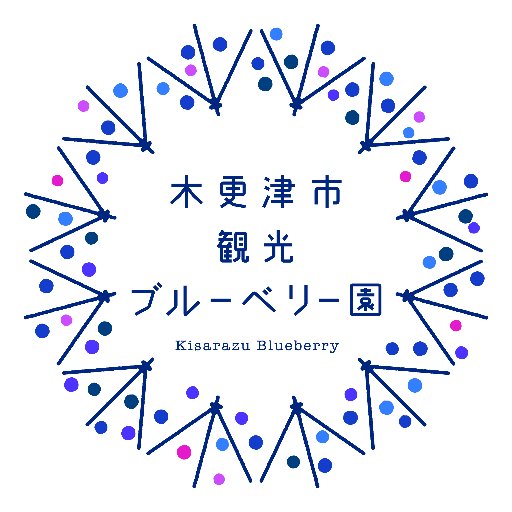 木更津市観光ブルーベリー園協議会では農薬・化学肥料を一切使わず、安全・安心な完熟ブルーベリー果実を提供しています。