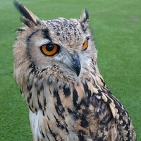 Dunc (@rockmonster999) 's Twitter Profile Photo Dunc (@rockmonster999) 's Twitter Profile Photo