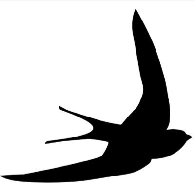 gemandtom's profile picture. Rank Higher. Convert Better. Super speedy site coming soon.