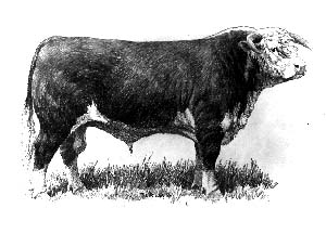 5th Generation Central Oregon producing grass-finished beef.