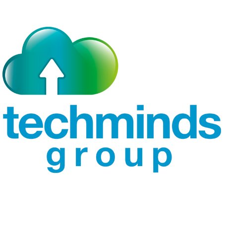 Techminds Group Llc