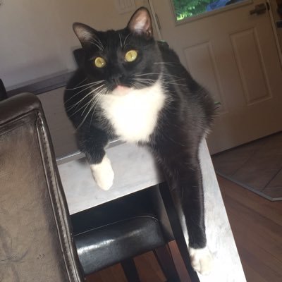 CyndiNic2016's profile picture. 