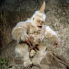codefreak1's profile picture. 