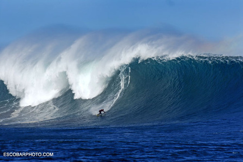 Surfista Profesional Chileno y Big Wave Rider. Patagonia Ambassador.