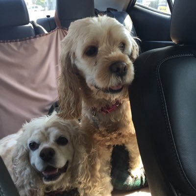 jillb2327's profile picture. Country Cute animals TV Shows