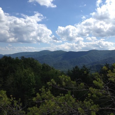 Lawson93gaming's profile picture. 