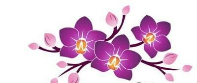 purpleorchid78's profile picture. I have been a floral designer for 20 years. Time to bring the fun back to flower buying. All my work is custom. I help with pinterest idea you love.