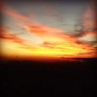Lawrence Simpson (@lawrencesimps19) 's Twitter Profile Photo