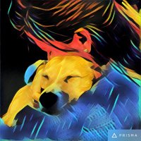 Tita (@tittaa) 's Twitter Profile