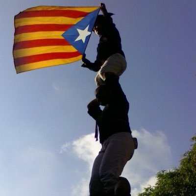 oslius's profile picture. 