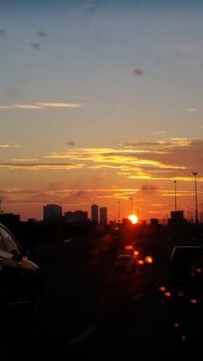 elvis_guz's profile picture. 