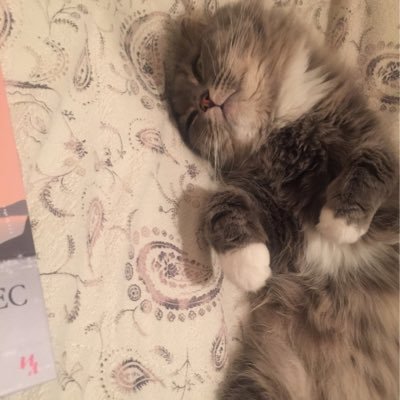 Mariyaaa_26's profile picture. 