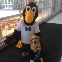 Nurse Stacey (@nursestacey2) 's Twitter Profile Photo