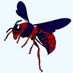 The Buzz Newspaper (@thebuzzsu) Twitter profile photo The Buzz Newspaper (@thebuzzsu) Twitter profile photo