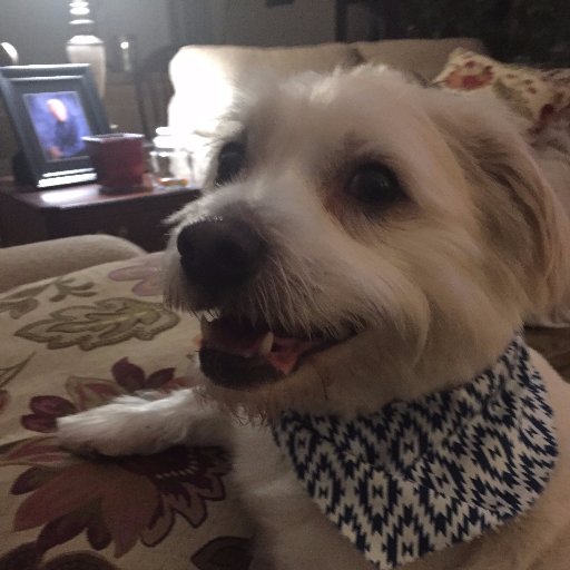 pkmcknight's profile picture. 