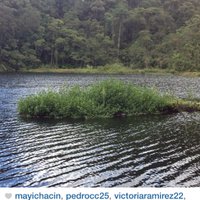 Rotary Bocono (@online_iron) 's Twitter Profile