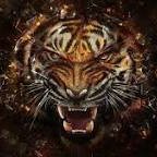 Dtown FB Boosters (@dtownfb) 's Twitter Profile