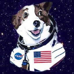 spacedog420's profile picture. cat soup