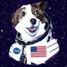 spacedog420's profile picture. cat soup