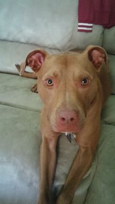 AnjillH's profile picture. 