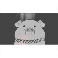 Pato es un puerco y un pez aunque no lo creas :v