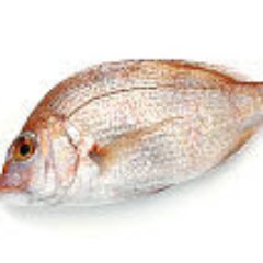 静岡の釣り情報をツイート。 Youtube や画像で魚釣り関連を ツイートします。 釣りタグに反応してリツイートします。 #静岡 #釣り #魚釣り #YouTube #マダイ #アオリイカ #太刀魚 #釣果報告 #リツイート
