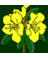 Loder_Plants's profile image