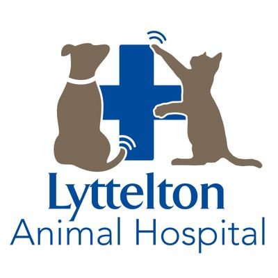 Lyttelton Animal Hospital, visit us to see what all the fuss is about. Contact us on 0126645763 or visit, 80 Cantonments rd, Lyttelton Manor, Centurion