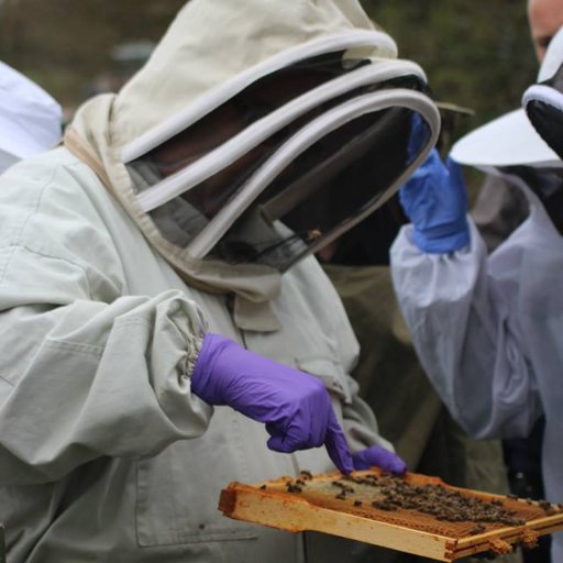 Beekeeper Always for the Bees .Award Winning Family Honey business