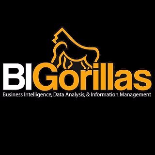 BIGorillas's profile picture. Business Intelligence | Data Analysis | Data Warehousing