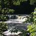 locally here (@ribblepromo) Twitter profile photo
