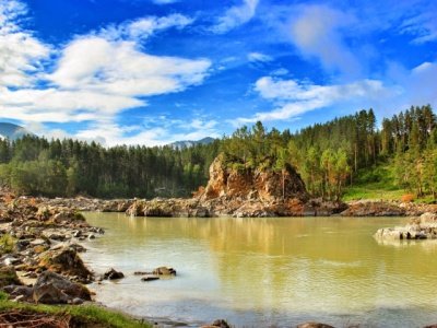 rennaatkins4521's profile picture. vancouver lawyer, sometimes ravelr