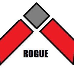 Competitive Call Of Duty Player Memeber of Rogue Clan