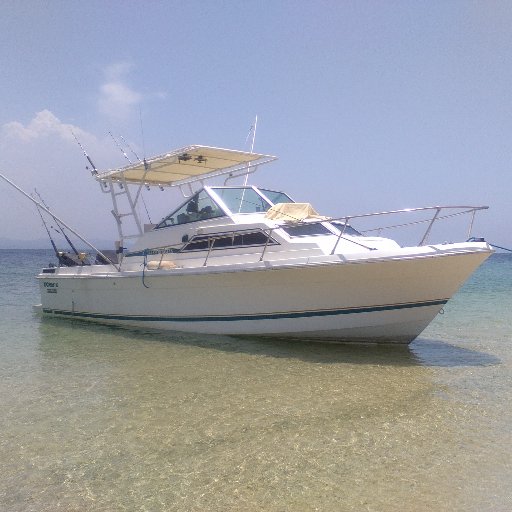 Organización de eventos de pesca, charter de playa y pesca en  Anzoátegui 
Pro Staff AFTCO y Red shark Miami . 📲04248649908 
📩Info@mahimahi.com.ve