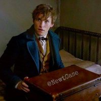 ℕewt Scamander (@newtcase) 's Twitter Profile