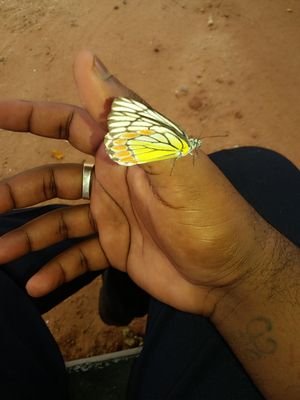 vishu143bvs's profile picture. Love it