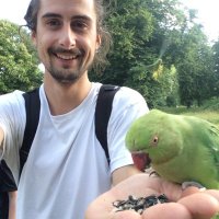 Jake Kelsall (@jakekelsallfilm) 's Twitter Profile