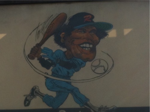 Rex's Batting Cage Profile