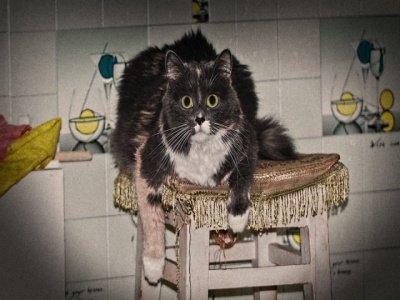 RocketRoberson's profile picture. Designer�� Develoment �� Director �