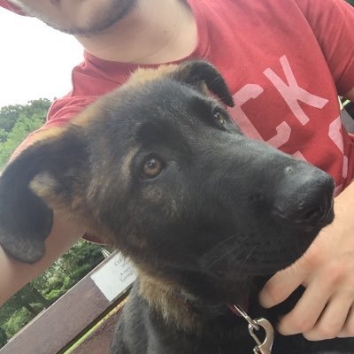 ScottMJDesign's profile picture. Freelance Designer! 🌆 Mention me for any Design Requests! Make sure to Follow Me and Turn my Notifications ON!🔔 Following ANYONE that follows Me!