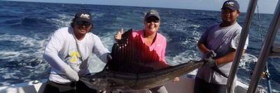 TempTribe's profile picture. 