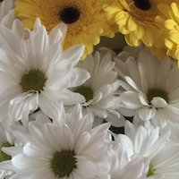 christina7 (@christina_7mrs) 's Twitter Profile Photo