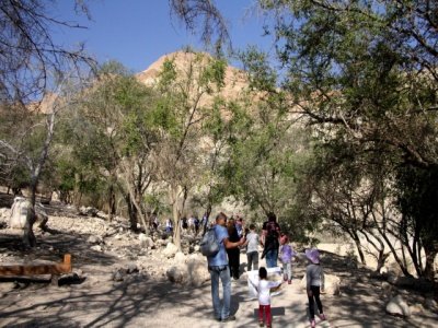 louis_jannet's profile picture. Buscando lo mejor de Panamá ���� y el ��. PlacesoGo| Art & Culture| ood ThingsToDo| LifeStyle | MustHave SoyTrends �� ����mira nuestros vidos����