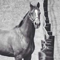 نـــون ...! (@bigheart272) Twitter profile photo
