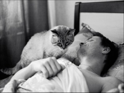 Bra_Viper's profile picture. 