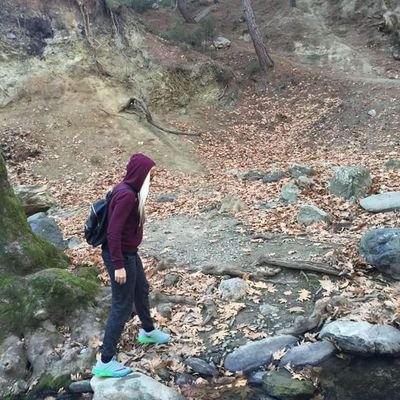 nikol0510's profile picture. 