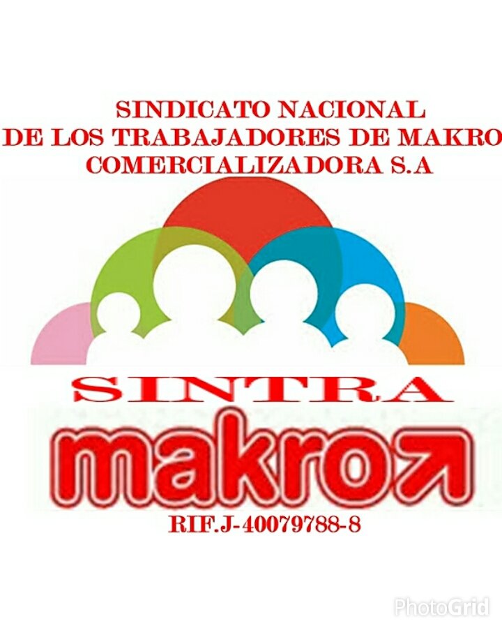 Organización Sindical