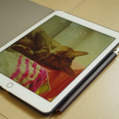 @applemacgeeknet