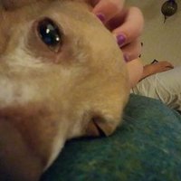 Cindy Brown Matsen (@cbmatsen) 's Twitter Profile