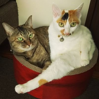かいんさんのプロフィール画像